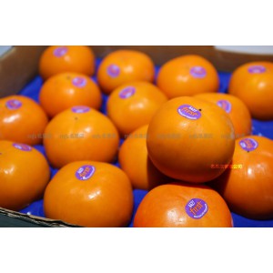 澳洲/紐西蘭 富有柿