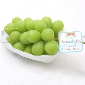 日本 長野縣 大地之水滴香印提子 原箱 4kg