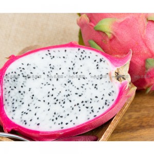 越南 白肉火龍果