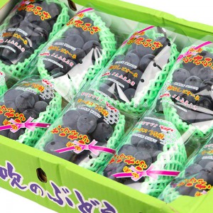 日本 山梨縣 貓眼提子 碟裝 原箱 3.5kg-4kg