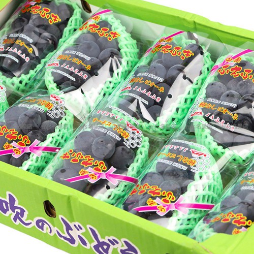 日本 山梨縣 貓眼提子 碟裝 原箱 3.5kg-4kg
