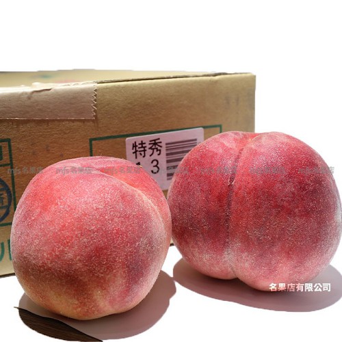 日本 山梨縣 特秀水蜜桃 5kg 原箱 12-13玉