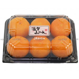 日本 佐賀/熊本/愛媛縣 溫室蜜柑 碟裝 5-6玉