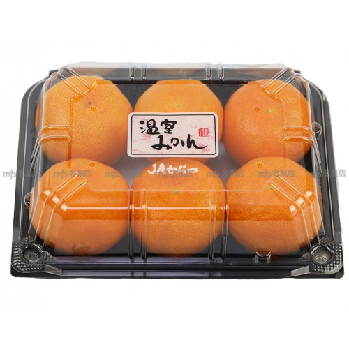 日本 佐賀/熊本/愛媛縣 溫室蜜柑 碟裝 5-6玉