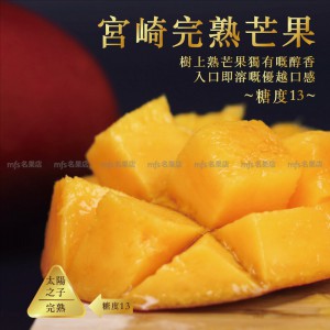 日本 宮崎縣 完熟芒果 4L/5L