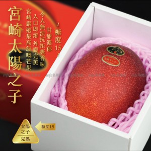 日本 宮崎縣 太陽之子完熟芒果 5L