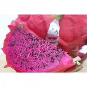 馬來西亞/台灣 紅肉火龍果