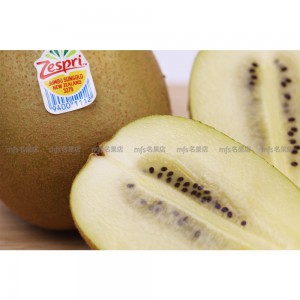 紐西蘭 Zespri 珍寶金奇異果