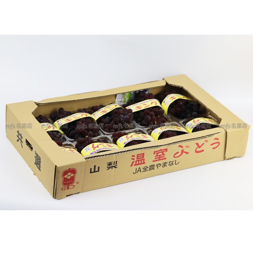 日本 山梨/島根縣 珍珠串提 pack裝 原箱