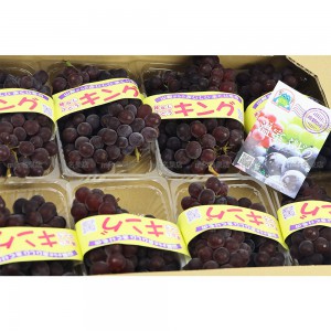 日本 山梨/島根縣 珍珠串提 pack裝 原箱