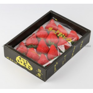 日本 鹿兒島縣 薩摩姬士多啤梨 禮盒 9-12玉