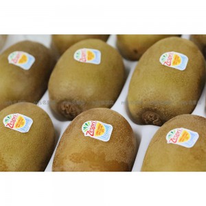 紐西蘭 Zespri 珍寶金奇異果 原箱 16-18裝