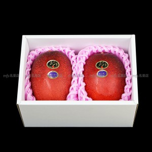 日本 宮崎縣 太陽之子完熟芒果 4L