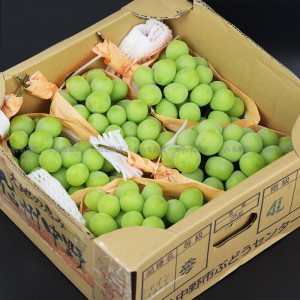 日本 長野/山梨縣 香印提子 原箱 3kg 6-7房