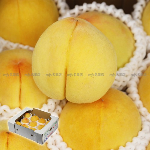 日本 山梨/長野縣 黃金桃 原箱 3kg