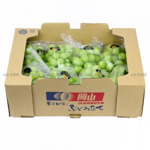 日本 岡山縣 晴王香印提子 原箱 8-9房