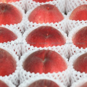 日本 山梨縣 春日居水蜜桃 5kg 原箱 15-16玉 2