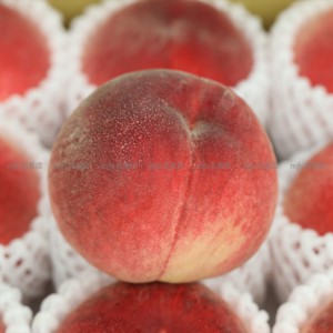 日本 山梨縣 春日居水蜜桃 5kg 原箱 12-13玉 2