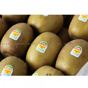紐西蘭 Zespri 大裝金奇異果 原箱 22-25裝