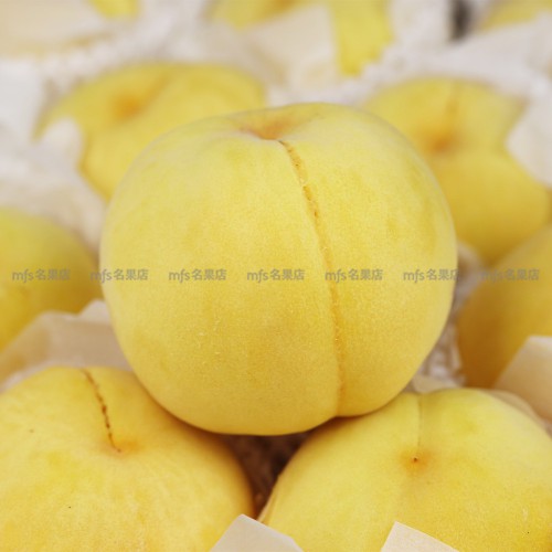 日本 山梨/長野縣 黃金桃 原箱 5kg 15-16玉