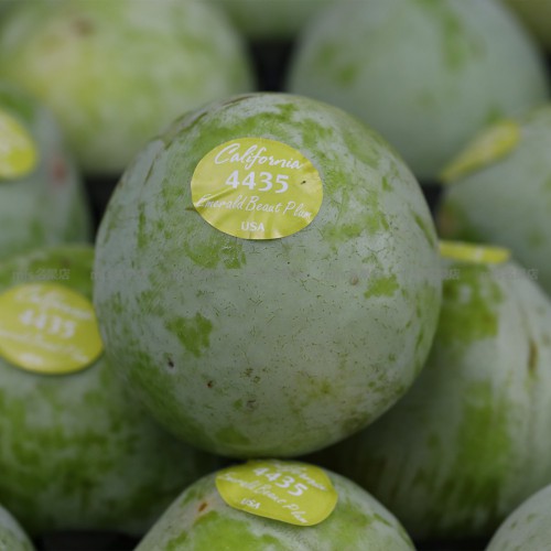 美國 綠寶石布冧 原箱 5kg