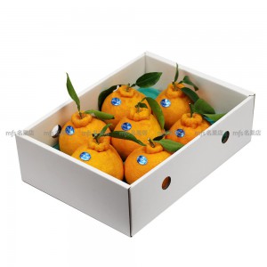 日本 熊本/大分/三重縣 尖咀柑橘 原箱 15-20玉