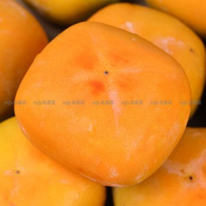 日本 奈良/岐阜/和歌山/鳥取縣 富有柿 原箱... 2