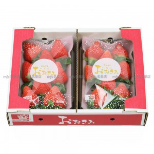 日本 高知縣 大妃美士多啤梨 碟裝 1盒2碟