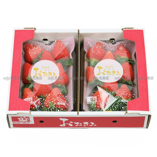 日本 高知縣 大妃美士多啤梨 碟裝 1盒2碟