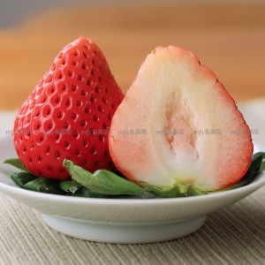 日本 高知縣 大妃美士多啤梨 碟裝 1盒2碟 2