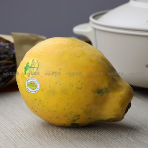 美國 夏威夷 樹上熟木瓜 2