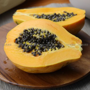 美國 夏威夷 樹上熟木瓜