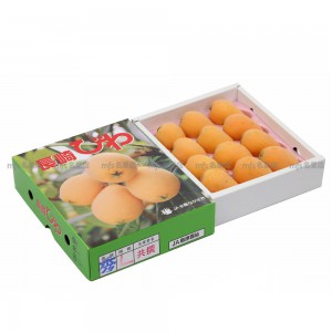 日本 長崎縣 枇杷 禮盒 9-15玉