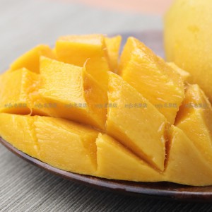 柬埔寨 白花芒 2