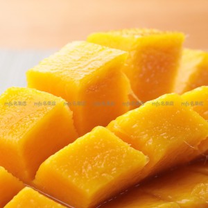 中國 金水仙芒果 2