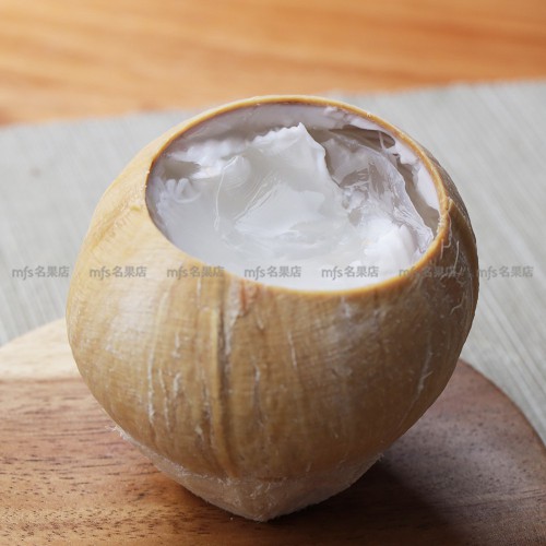 泰國 椰皇啫喱