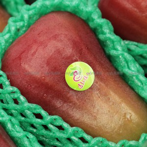 台灣 屏東縣 黑糖芭比蓮霧 3個 2