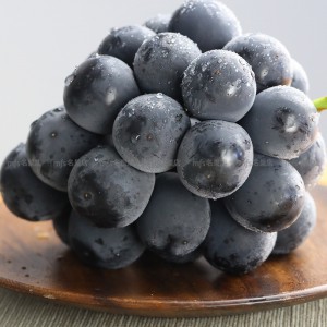 日本 山梨縣 貓眼提子 碟裝 原箱 3.5kg-4kg 2