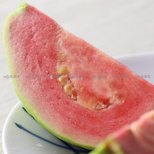 台灣 紅肉番石榴