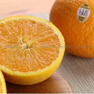 美國 蜜蜂金牌橙 72裝 3個