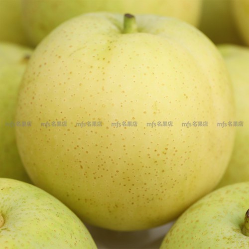日本 鳥取縣 20世紀水晶梨 5kg 原箱 10-12玉