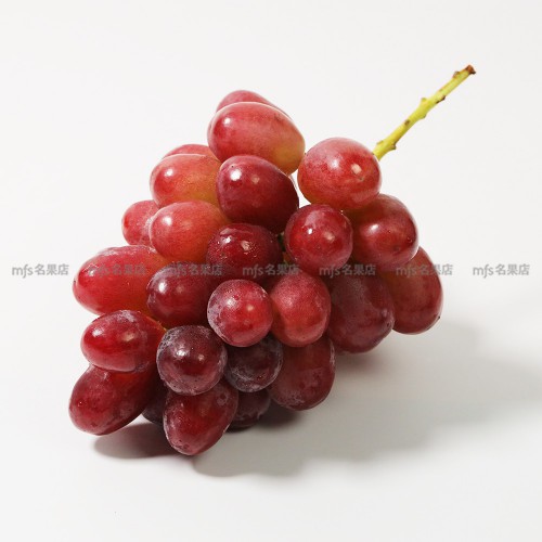 日本 長野縣 妃紅提 555-625g