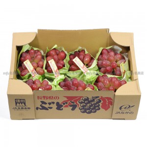 日本 長野縣 妃紅提 原箱5kg 8-9束