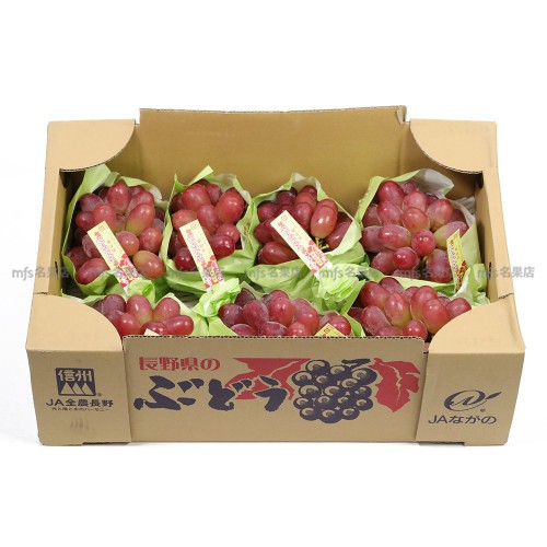 日本 長野縣 妃紅提 原箱5kg 8-9束