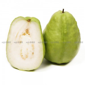 台灣 白肉番石榴