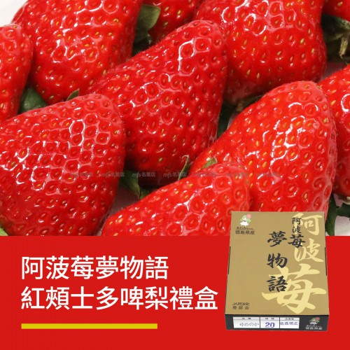 日本 德島縣 阿波莓 夢物語士多啤梨 禮盒