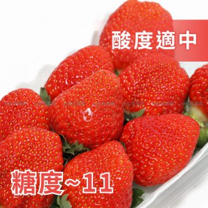 日本 熊本縣 夕紅士多啤梨 碟裝 1盒2碟 2