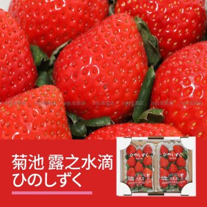 日本 熊本縣菊池市 露之水滴士多啤梨 碟裝 1盒2碟