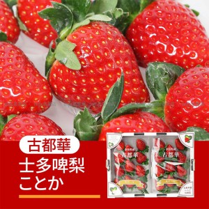 日本 奈良縣 古都華士多啤梨 碟裝 1盒2碟