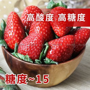 日本 奈良縣 古都華士多啤梨 碟裝 1盒2碟 2